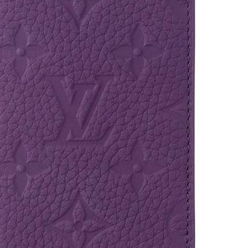 LOUIS VUITTON Pocket Organizer