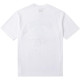 MLB T