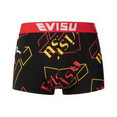 EVISU 2