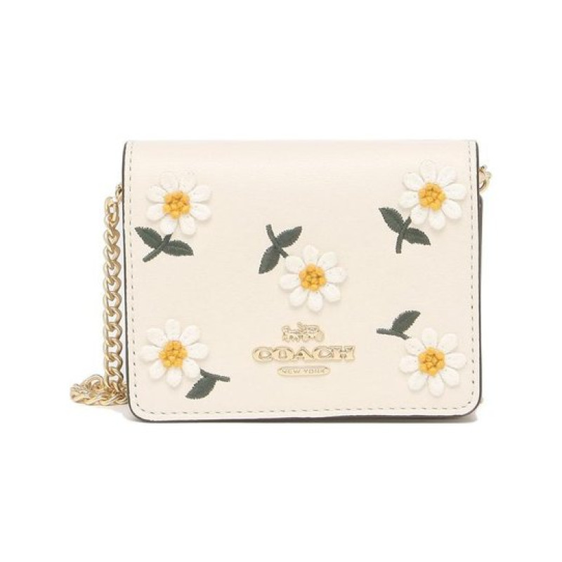 COACH Chain 10
