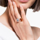 Swarovski THE ELEMENTS