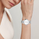 ENICAR 30 33mm 955322772aP