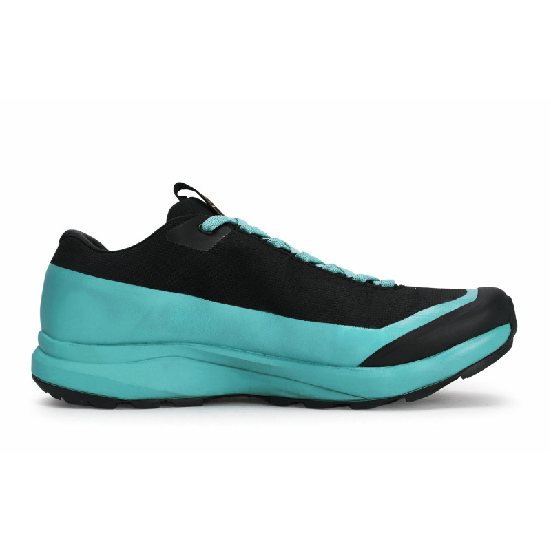 Arcteryx Aerios Fl 2 GTX 811
