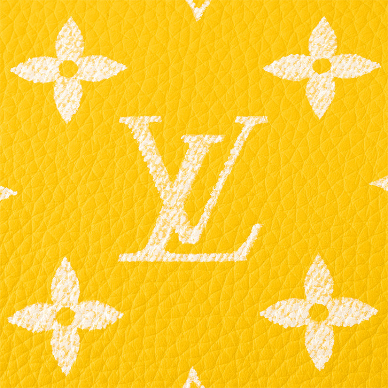 LOUIS VUITTON Speedy 25