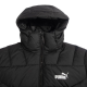 PUMA WINTERIZED Logo