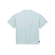 Converse T
