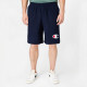 Champion C