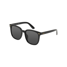 RayBan Logo