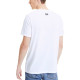 Puma T
