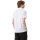 HAZZYS LogoPolo