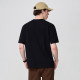 FAIRWHALE T
