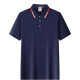 PIERRE CARDIN Polo