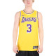 Nike NBA SW 20 3