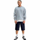 Dickies Logo