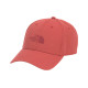 THE NORTH FACE Logo 4VSV