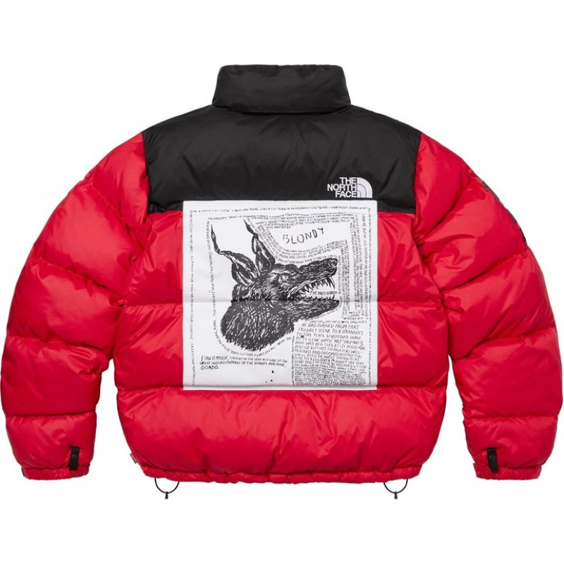 Supreme x THE NORTH FACE FW24 WEEK9 logo