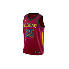 Nike Icon Edition NBA SW