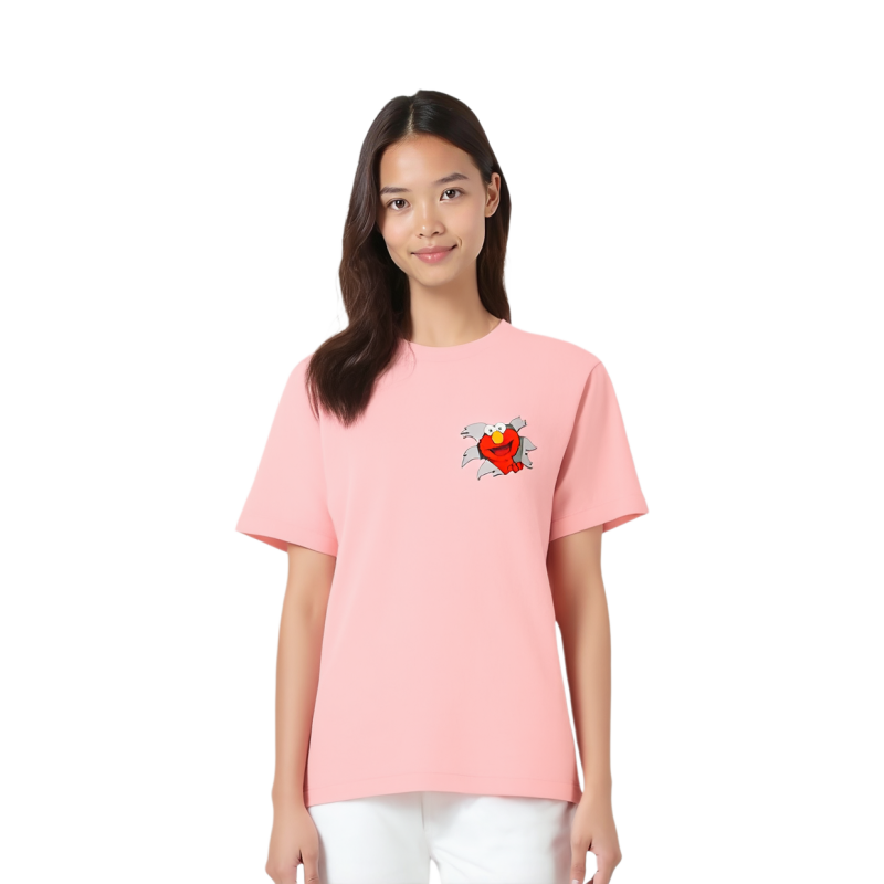 UNIQLO x kaws x sesame street logoT