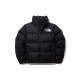 THE NORTH FACE 1996 Nuptse eco