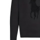 Polo Ralph Lauren Logo