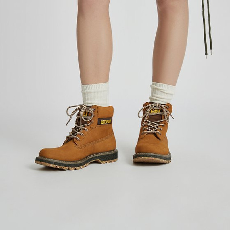 CAT E Colorado SS23
