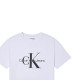 CKCalvin Klein T