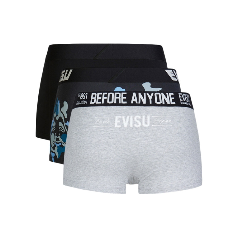 EVISU 3