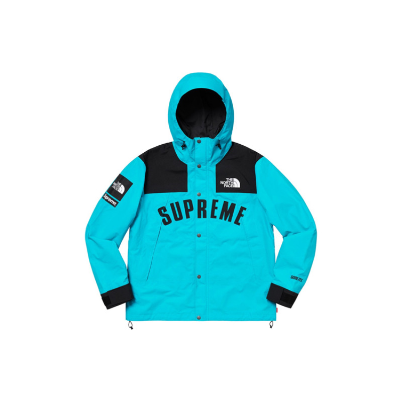 Supreme x THE NORTH FACE SS19