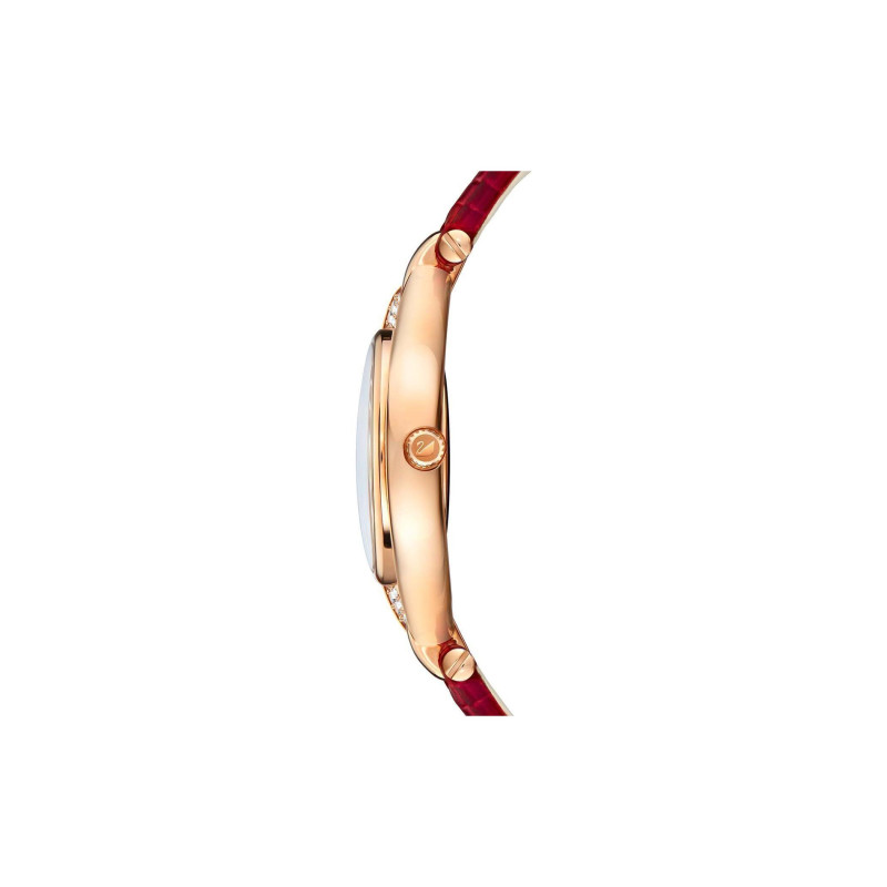 SwarovskiSwarovskiStella 5421822