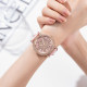 Disney SF-51301