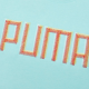 Puma Colorful Embroidered logo