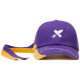 Champion x