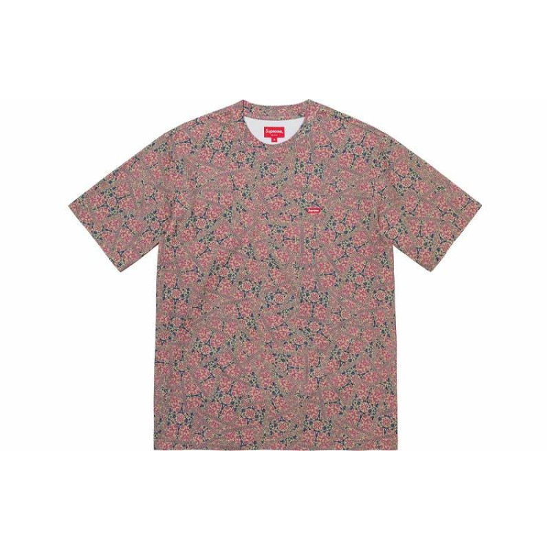 Supreme FW21 Week 1 Small Box Tee Box LogoT