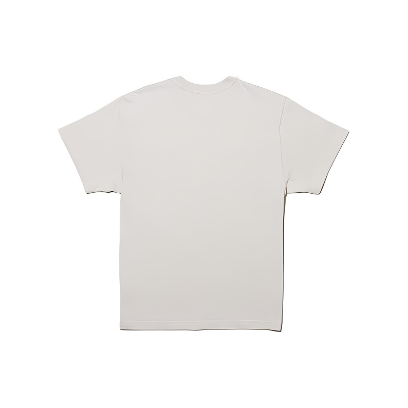 THE NORTH FACE x KAWS T