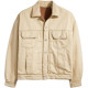 levis SilverTab
