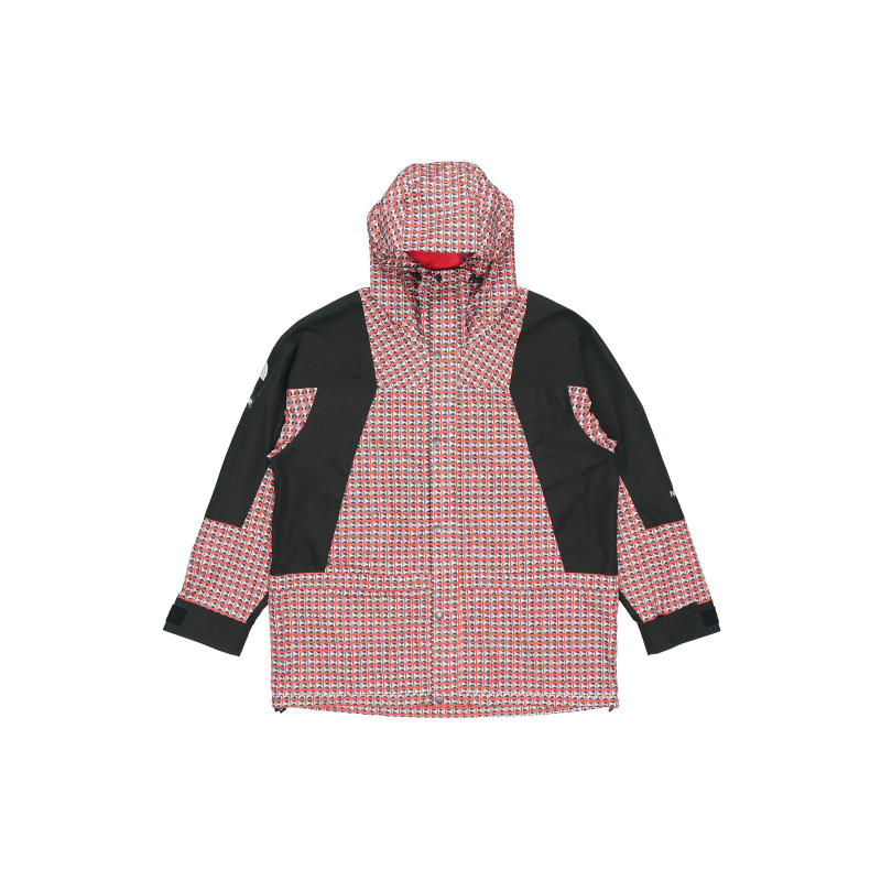 Supreme x THE NORTH FACE SS21