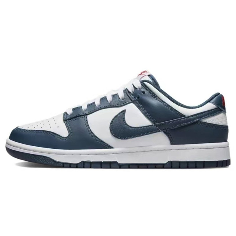 Nike Dunk vibe 520