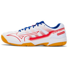 Mizuno Gate Sky Plus2