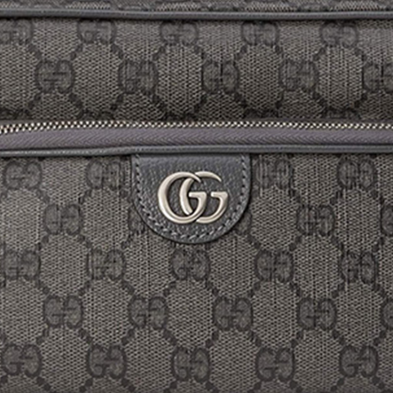 GUCCI Ophidia G
