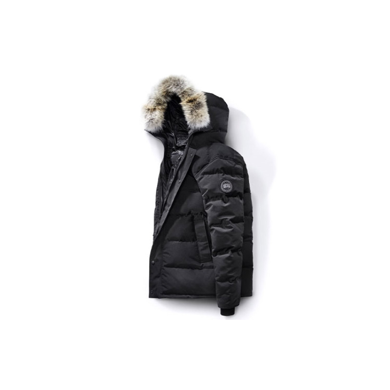 Canada Goose