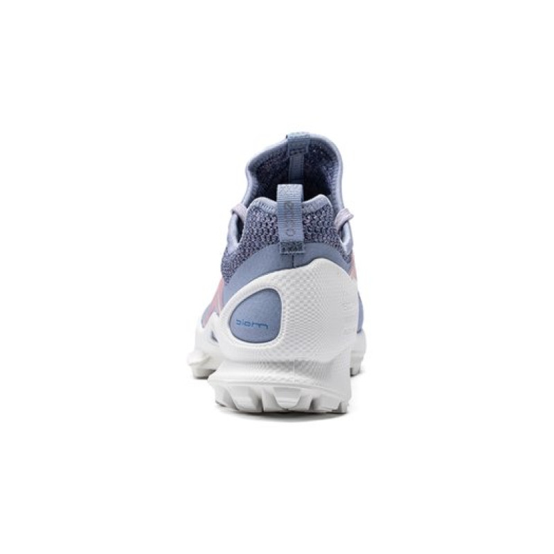 ecco Biom C Trail