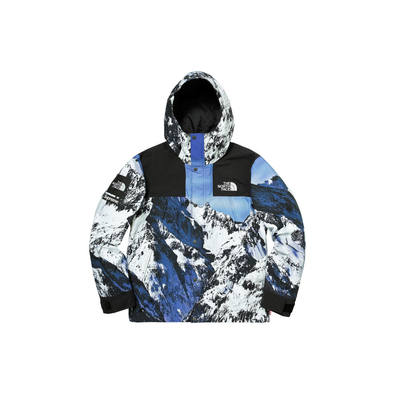 Supreme x THE NORTH FACE Mountain Parka