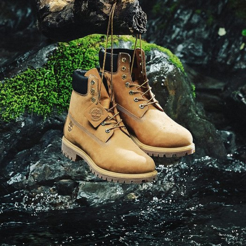 Timberland