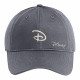 Disney D