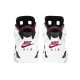 Jordan Air Jordan 6 retro 
