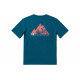 THE NORTH FACE T