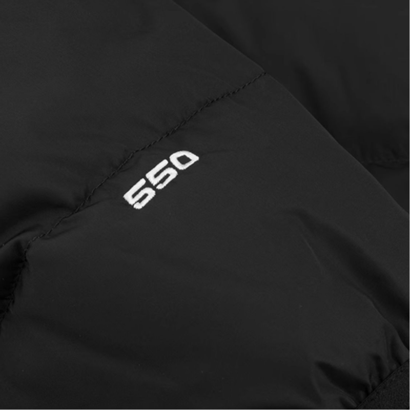 THE NORTH FACE logo