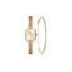 Daniel Wellington DW00100651+DW00400387