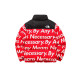 Supreme x THE NORTH FACE TNF FW15