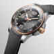 LONGINES 300 43mm L3.782.3.78.9